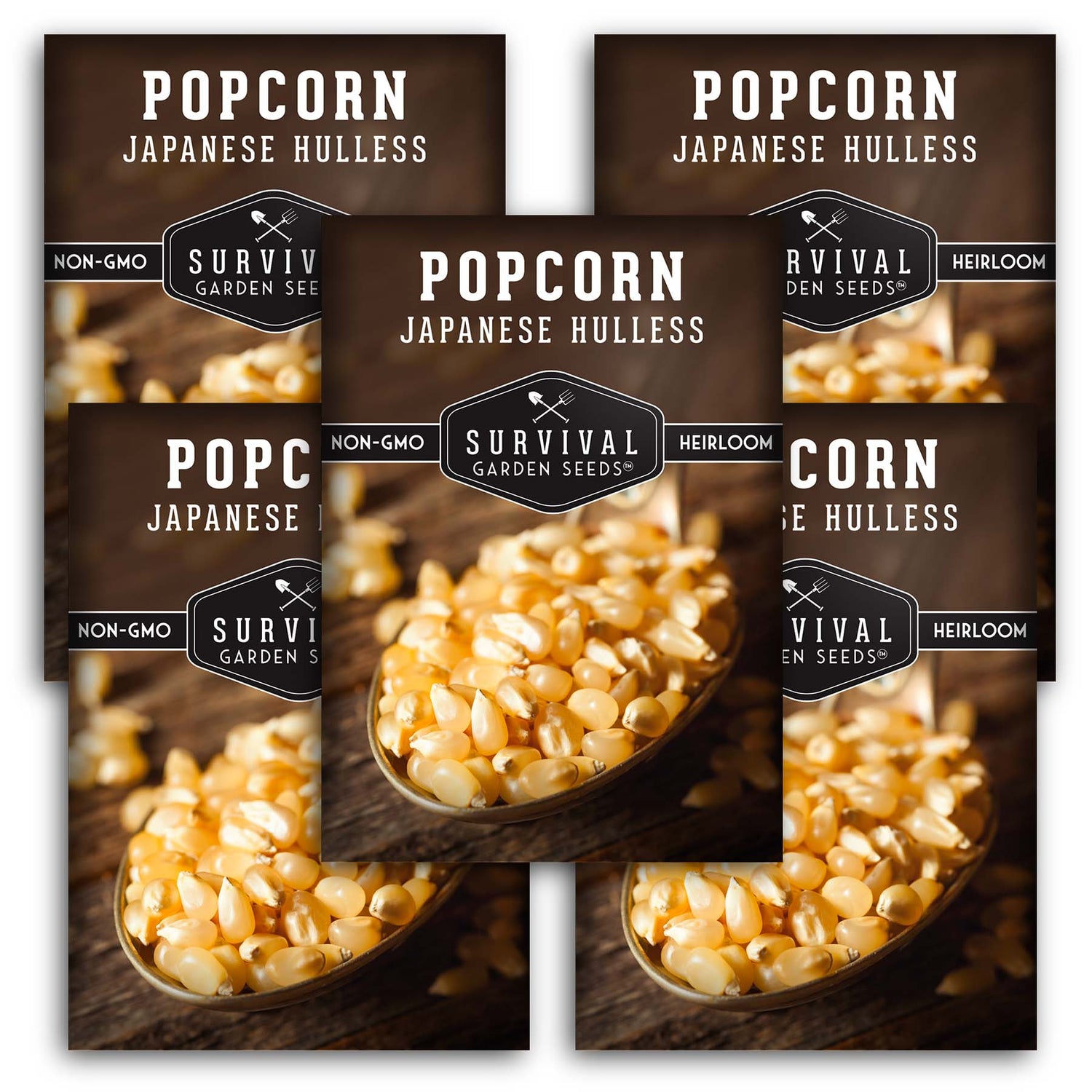 Japanese Hulless Popcorn Seed - Dwarf Heirloom Popcorn