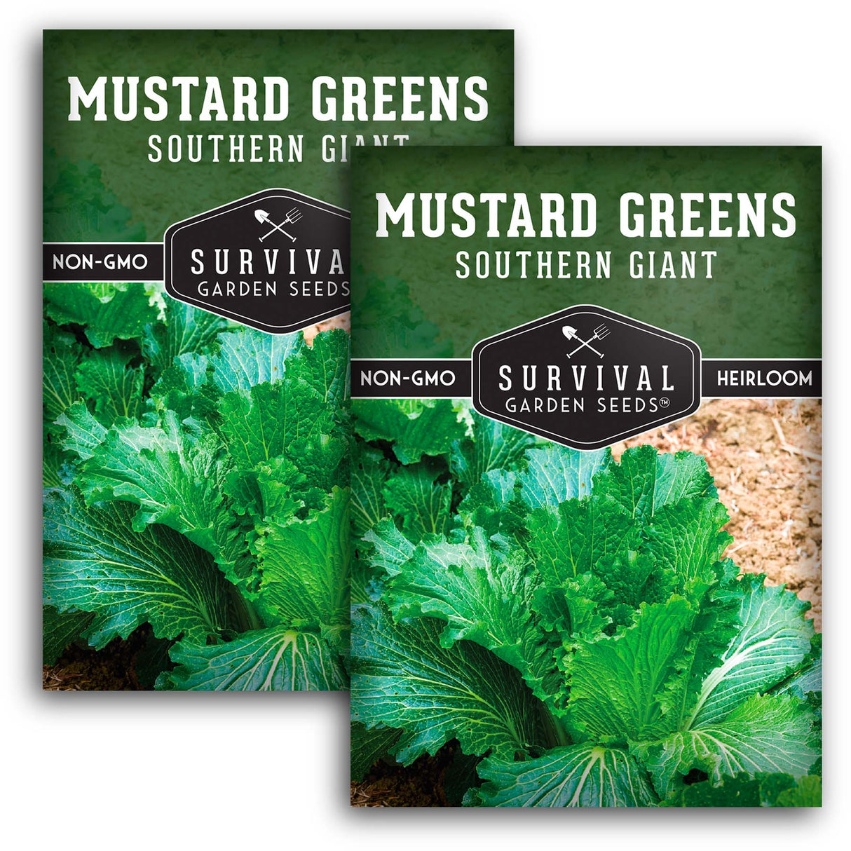 Southern Giant Mustard Green Seeds – Heirloom Non-GMO Variety for Warm Climates, High Yields & Bold Spicy Flavor