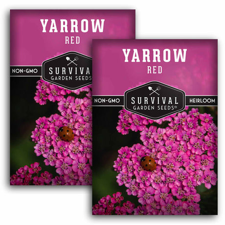 Pink Yarrow Seeds – Achillea millefolium var. rubra Heirloom Perennial with Reddish-Pink Blooms for Medicinal & Pollinator Gardens