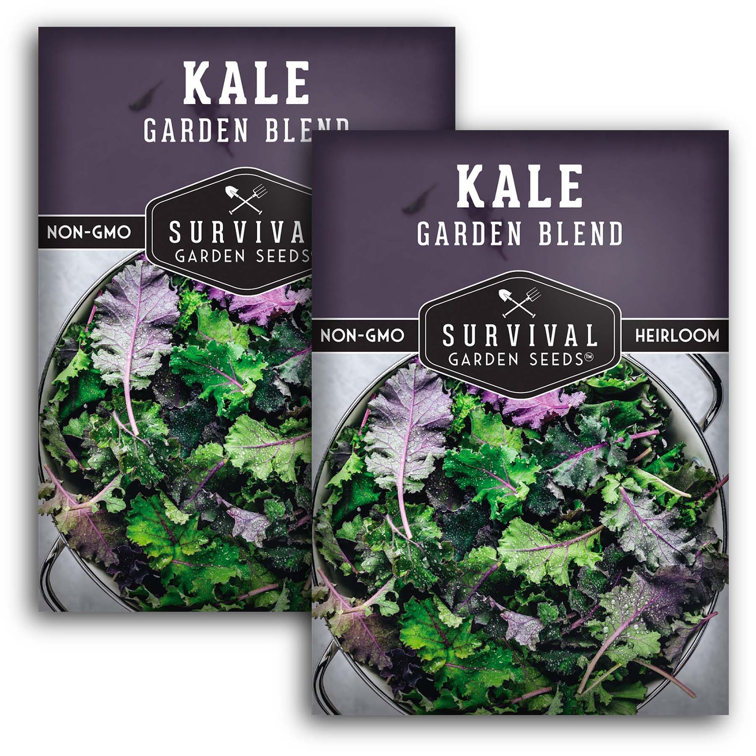Baby Kale Seeds – Heirloom Garden Blend Mix of Curly & Flat Leaf Kale for Tender Baby Greens or Full-Size Leaves – Cold Hardy, Non-GMO, Easy to Grow