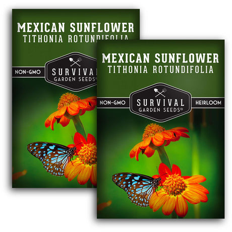 Mexican Sunflower Seeds – Heirloom Non-GMO Variety for Pollinators, Monarch Butterflies & Vibrant Garden Color