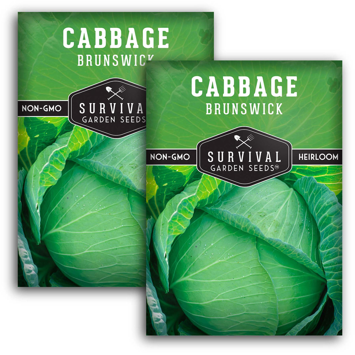 Brunswick Cabbage Seeds 2025