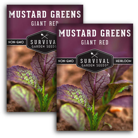 Giant Red Mustard Green Seeds – Heirloom Non-GMO Variety for Bold, Spicy Flavor & Ornamental Garden Color