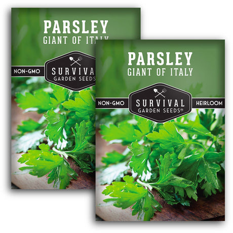 Giant of Italy Parsley Seeds – Heirloom Non-GMO Italian Flat Leaf Herb for Cooking, Drying & Garden Harvests