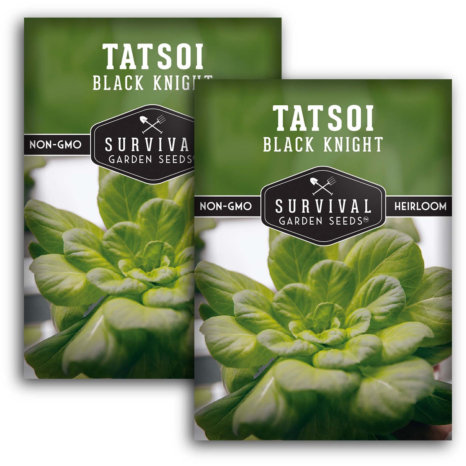 Black Knight Tatsoi Seeds – Heirloom Asian Mustard Green with Sweet, Mild Flavor & Compact Growth