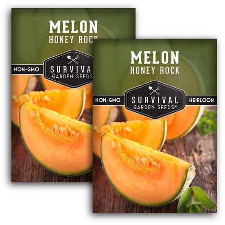 Honey Rock Melon Seeds - Sweet Cantaloupe