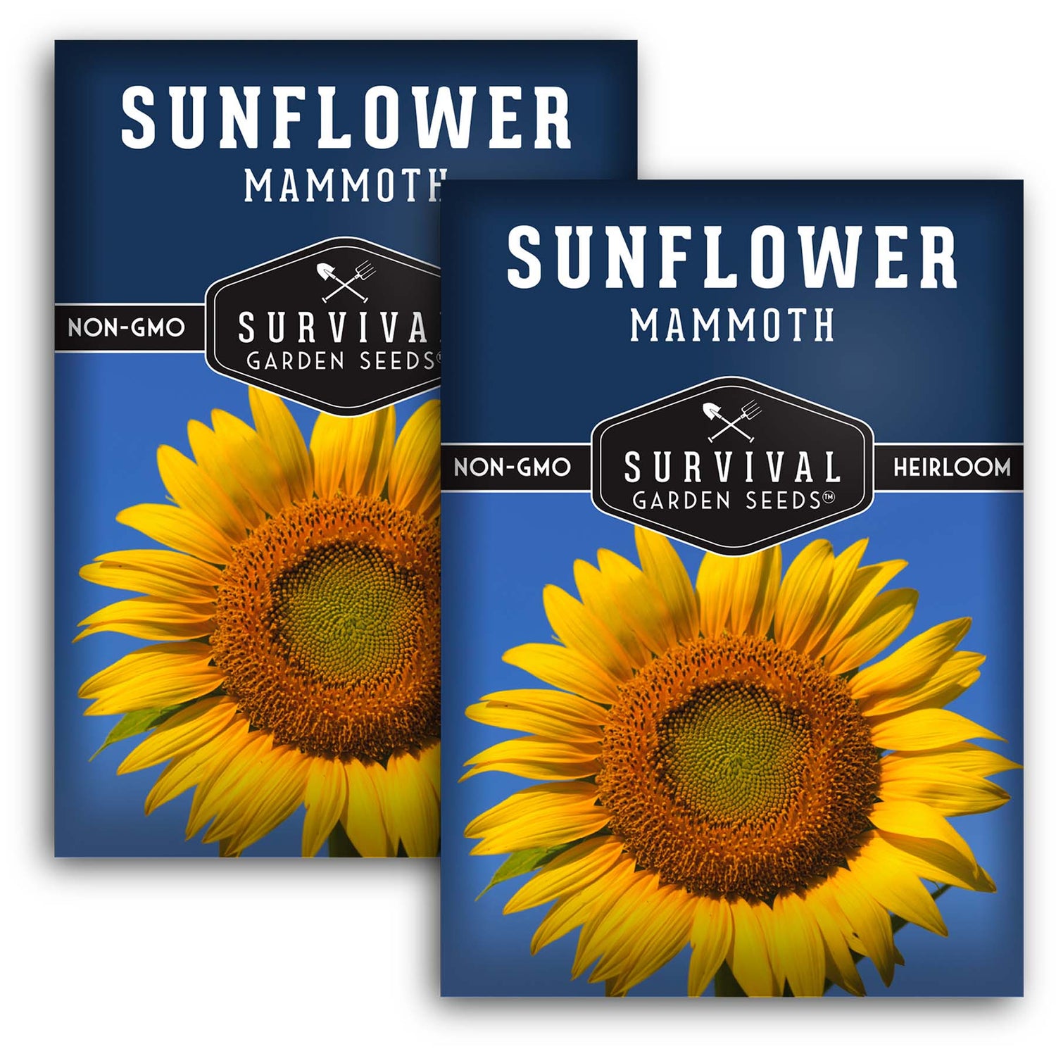 2 Packets of Mammoth Sunflower seeds