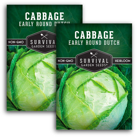 Early Round Dutch Cabbage Seeds – Heirloom Non-GMO, Cold-Hardy Green Cabbage for Spring and Fall Gardens