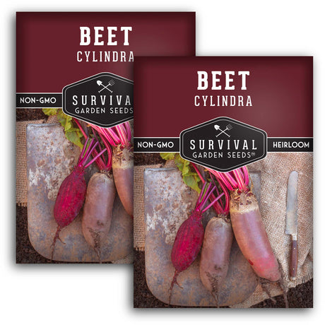 Cylindra Beet Seeds – Danish Heirloom Variety, Space-Saving Beets
