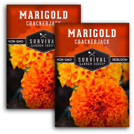 2 Packets of Crackerjack Marigold seeds