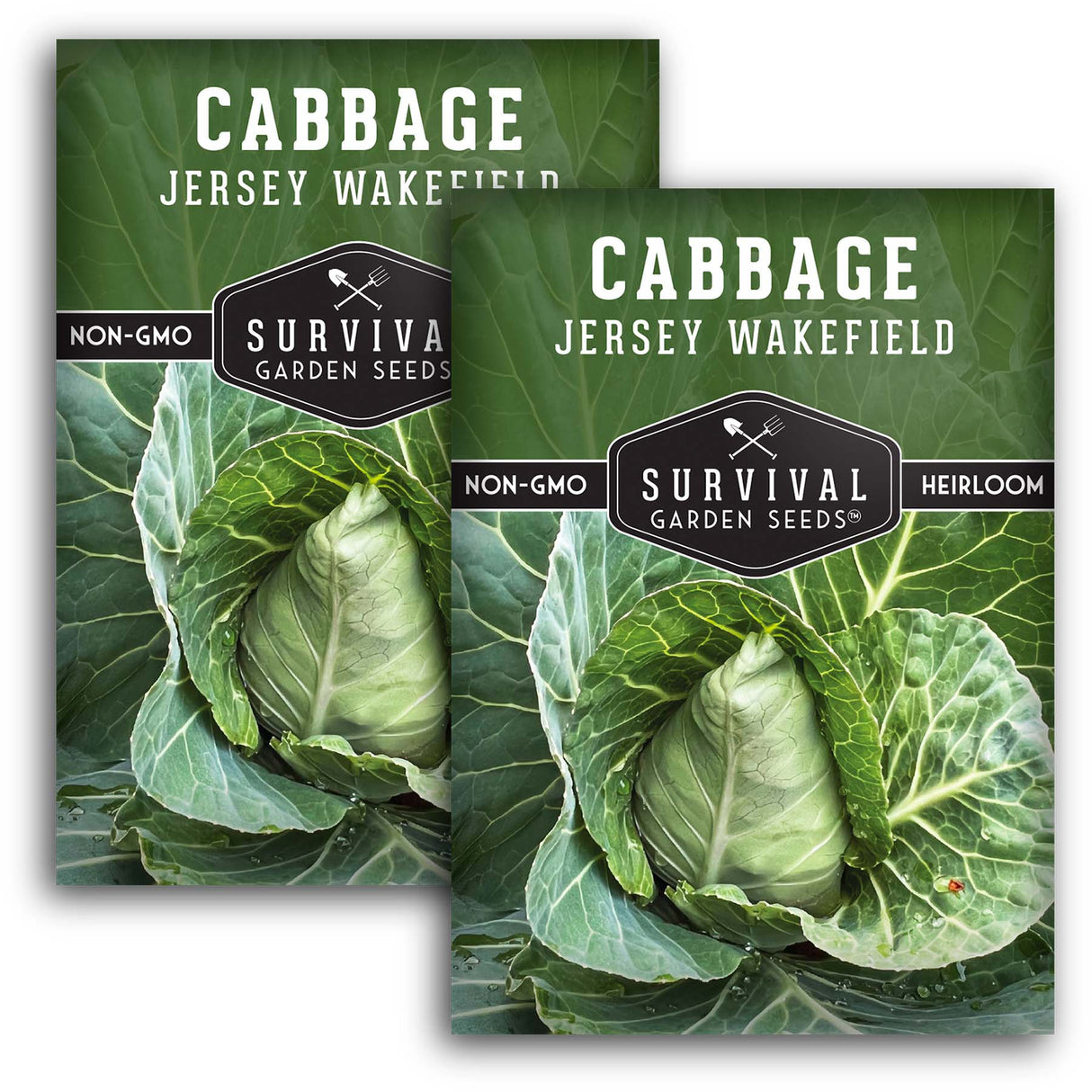 Jersey Wakefield Cabbage Seeds – Heirloom Non-GMO, Early-Maturing Pointed Cabbage for Compact Gardens
