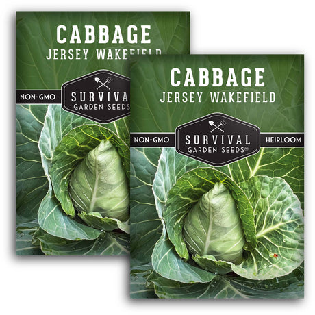 Jersey Wakefield Cabbage Seeds – Heirloom Non-GMO, Early-Maturing Pointed Cabbage for Compact Gardens