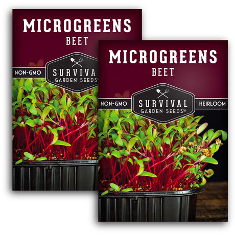 Beet Microgreens Seeds - Sweet Flavor