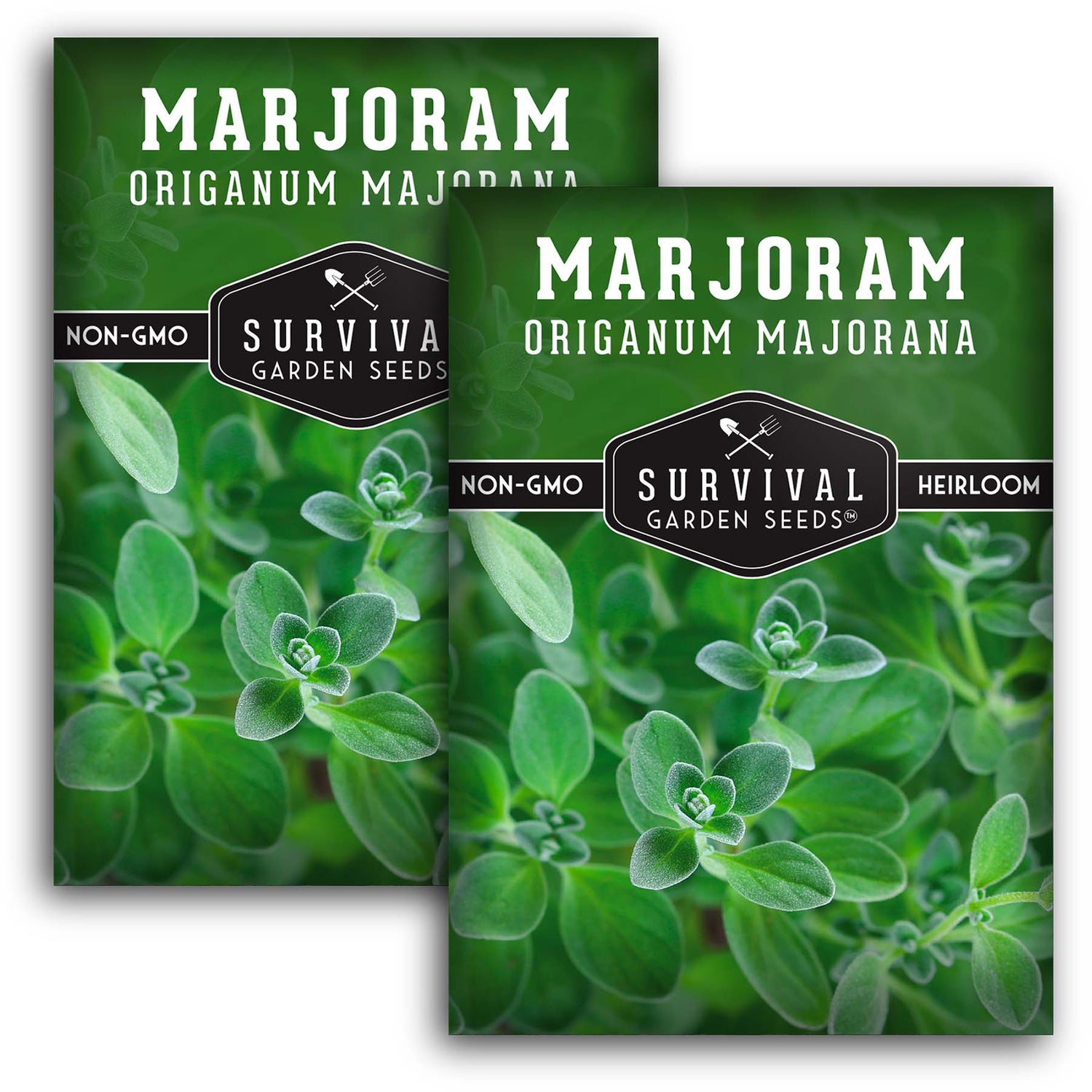 Marjoram Seeds