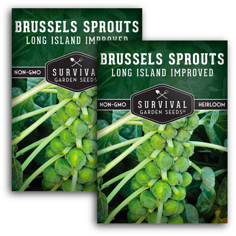 Long Island Improved Brussels Sprout Seeds – Heirloom Favorite