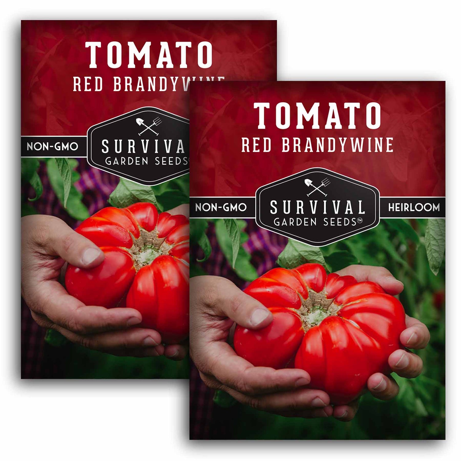 Brandywine Red Tomato Seeds 2025