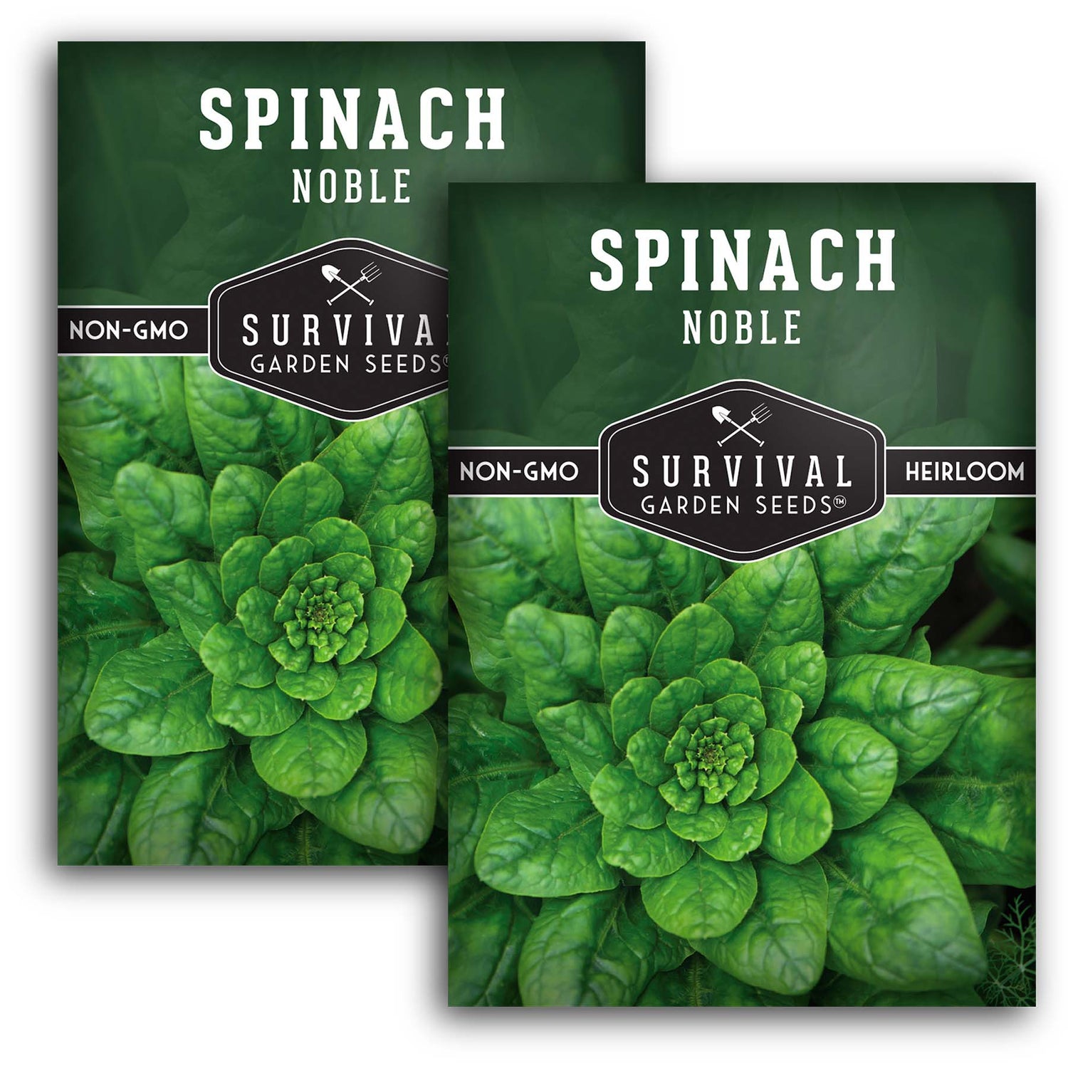 Giant Noble Spinach Seeds – Heirloom Non-GMO Cool-Season Greens for Spring, Fall & Mild Winter Gardens