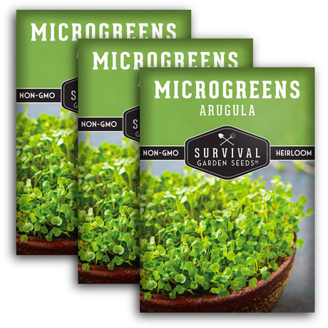 3 Packets of Arugula Microgreens seeds