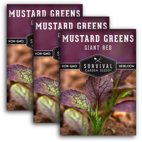 Giant Red Mustard Green Seeds – Heirloom Non-GMO Variety for Bold, Spicy Flavor & Ornamental Garden Color