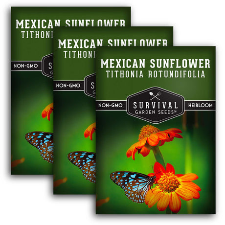 Mexican Sunflower Seeds – Heirloom Non-GMO Variety for Pollinators, Monarch Butterflies & Vibrant Garden Color