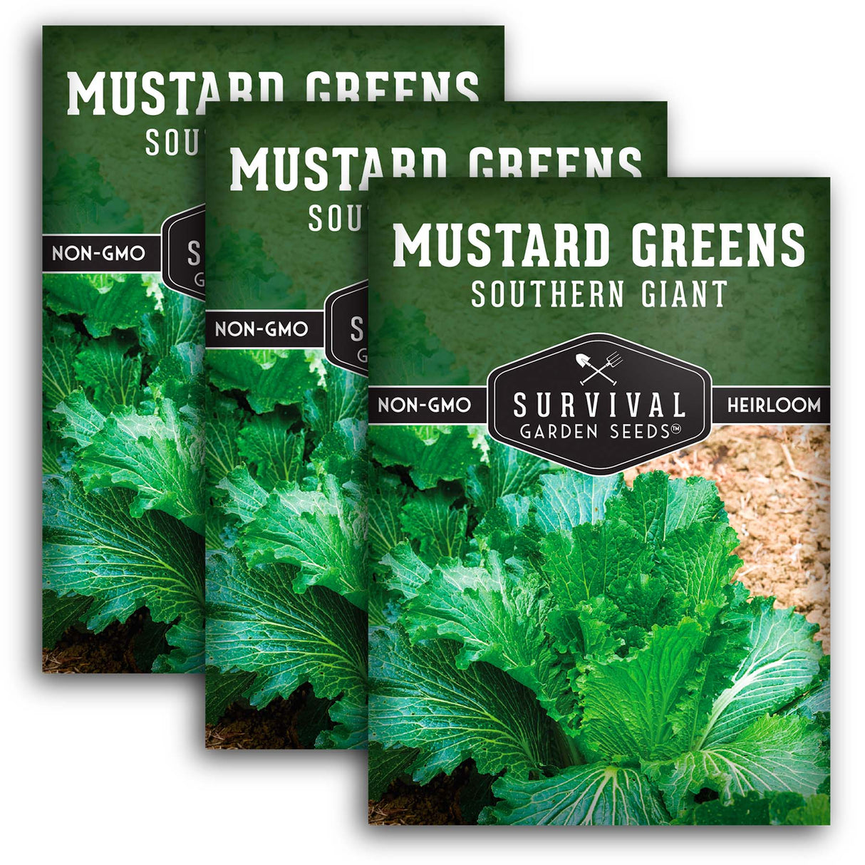 Southern Giant Mustard Green Seeds – Heirloom Non-GMO Variety for Warm Climates, High Yields & Bold Spicy Flavor