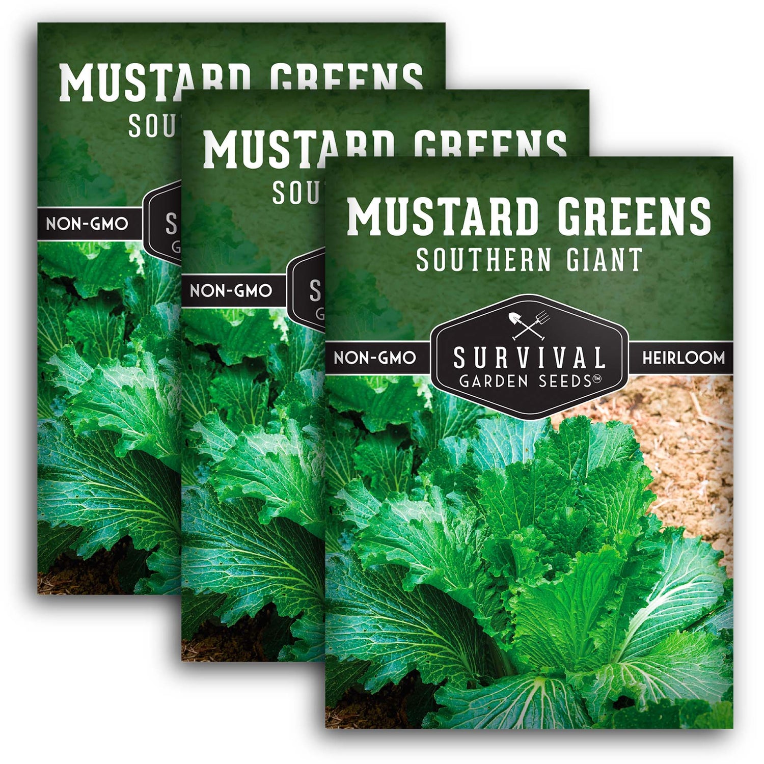Southern Giant Mustard Green Seeds – Heirloom Non-GMO Variety for Warm Climates, High Yields & Bold Spicy Flavor