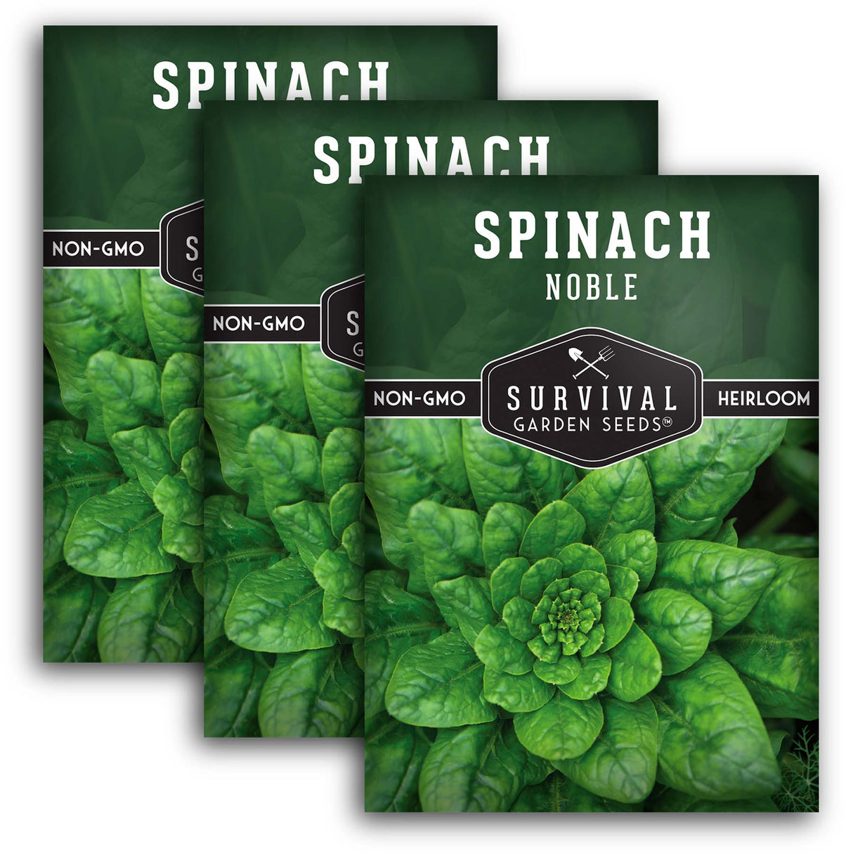 Giant Noble Spinach Seeds – Heirloom Non-GMO Cool-Season Greens for Spring, Fall & Mild Winter Gardens