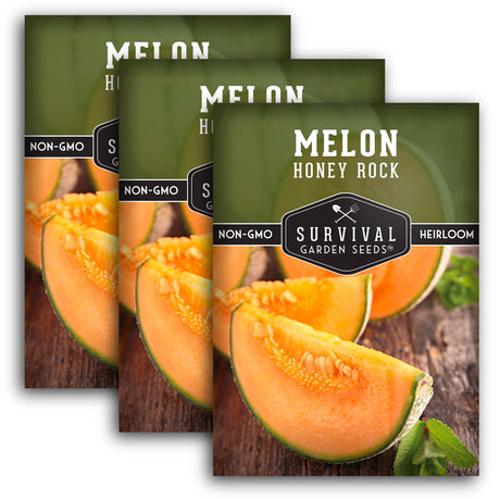 Honey Rock Melon Seeds - Sweet Cantaloupe