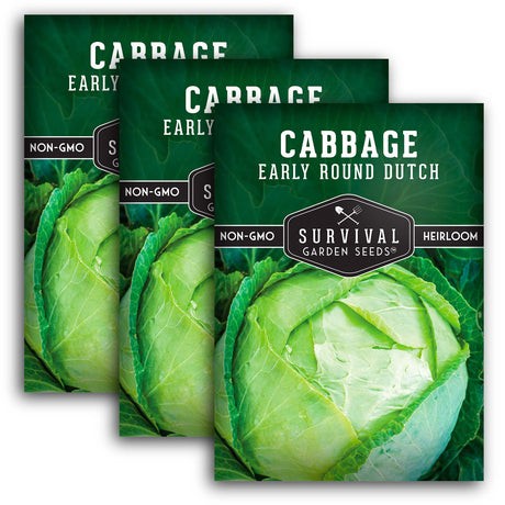 Early Round Dutch Cabbage Seeds – Heirloom Non-GMO, Cold-Hardy Green Cabbage for Spring and Fall Gardens