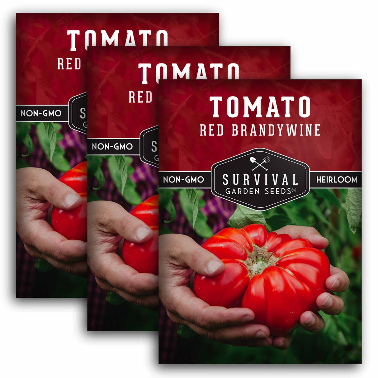 Brandywine Red Tomato Seeds 2025