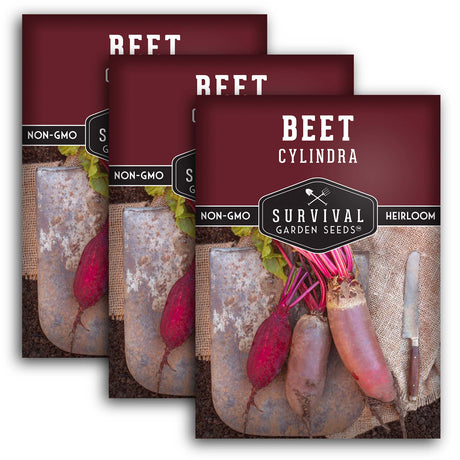 Cylindra Beet Seeds – Danish Heirloom Variety, Space-Saving Beets