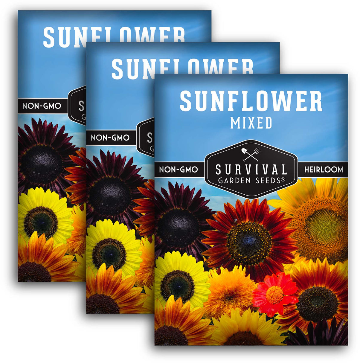 Sunflower Seed Mix – Colorful Heirloom Varieties for Pollinators and Garden Beauty
