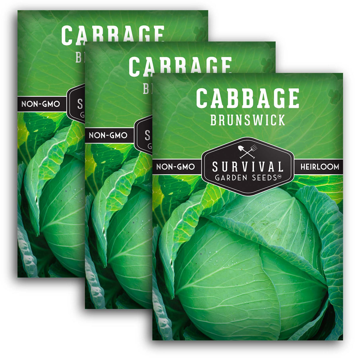 Brunswick Cabbage Seeds 2025