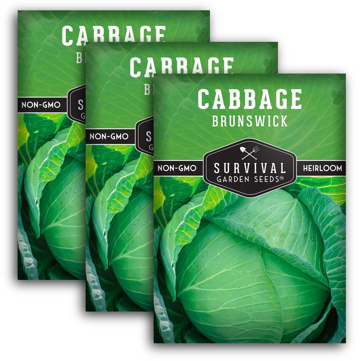 Brunswick Cabbage Seeds 2025