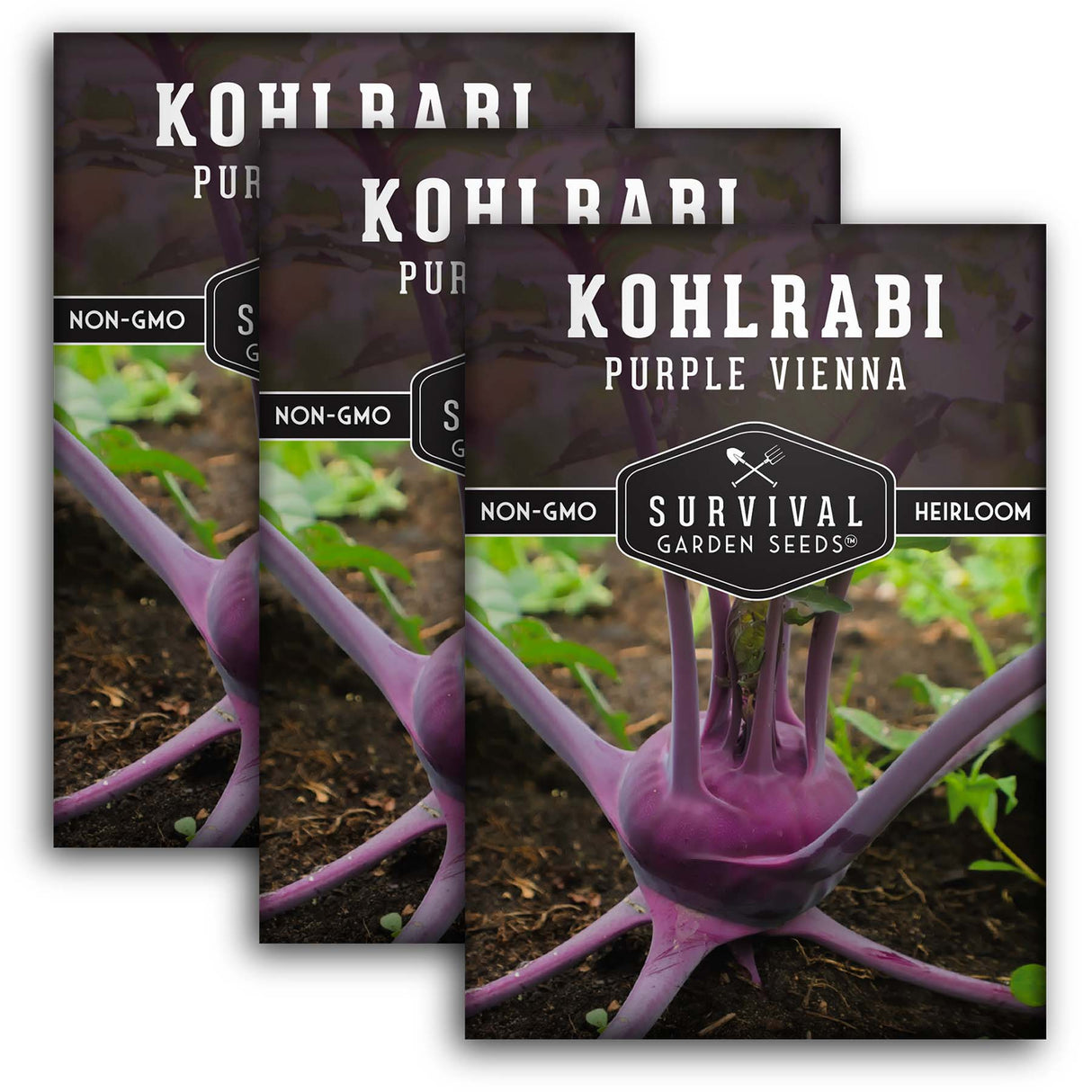 Purple Vienna Kohlrabi Seed 2025