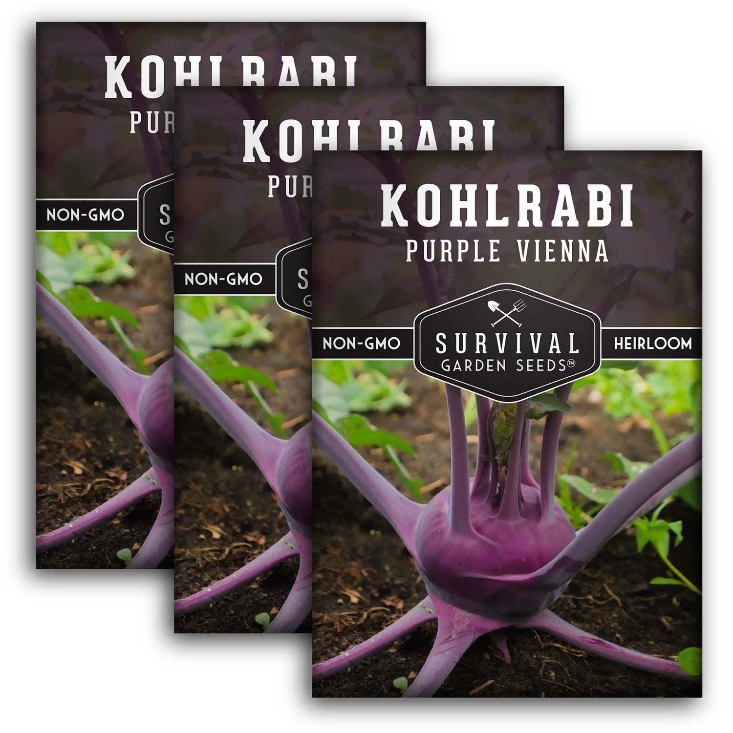 Purple Vienna Kohlrabi Seed 2025