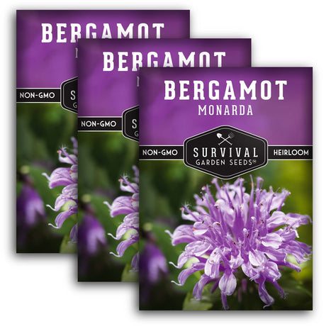 Bergamot (Bee Balm) Seeds - Monarda fistulosa