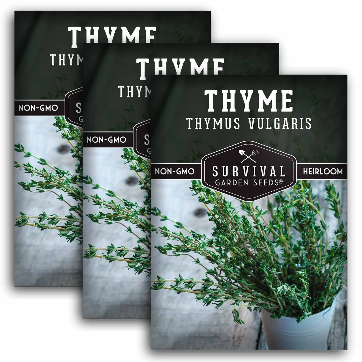 Thyme Seed - Classic Culinary Herb
