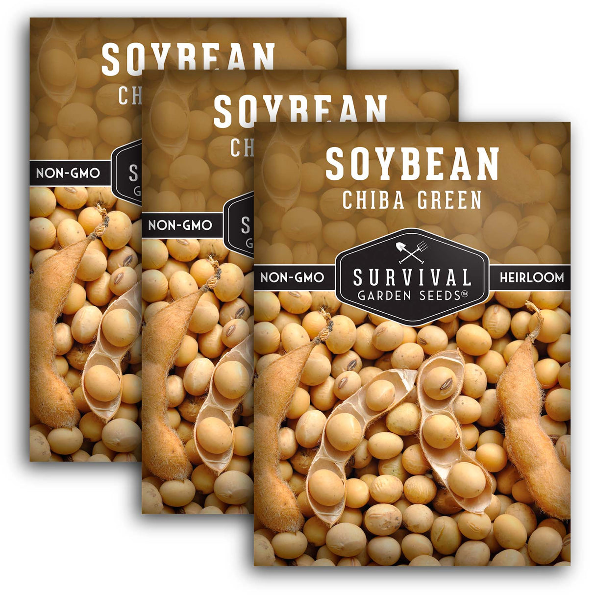 Chiba Green Soybean Seeds 2025