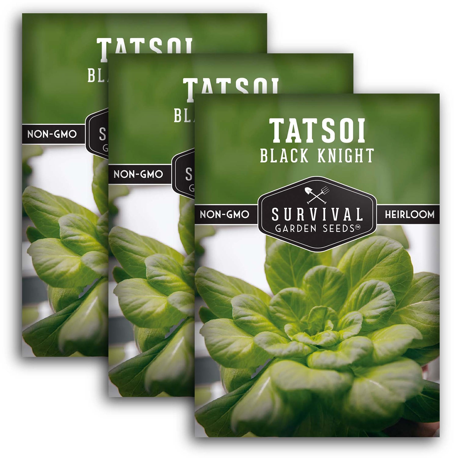 Black Knight Tatsoi Seeds – Heirloom Asian Mustard Green with Sweet, Mild Flavor & Compact Growth