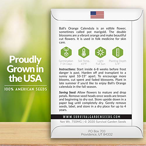 Ball’s Orange Calendula Seeds – Heirloom Medicinal Herb & Edible Flower with Brilliant Double Orange Blooms (Calendula officinalis)