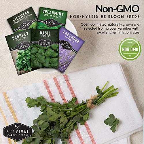 Popular Herb Seed Collection – 5 Heirloom Non-GMO Herbs for Culinary & Garden Use (Spearmint, Basil, Cilantro, Lavender & Parsley) – Indoor or Outdoor Growing Kit