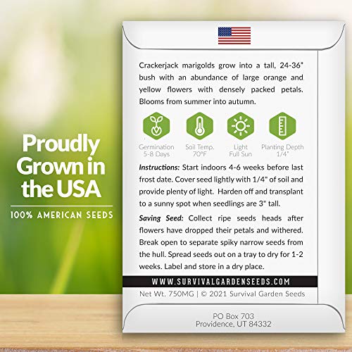 Crackerjack Marigold Seed