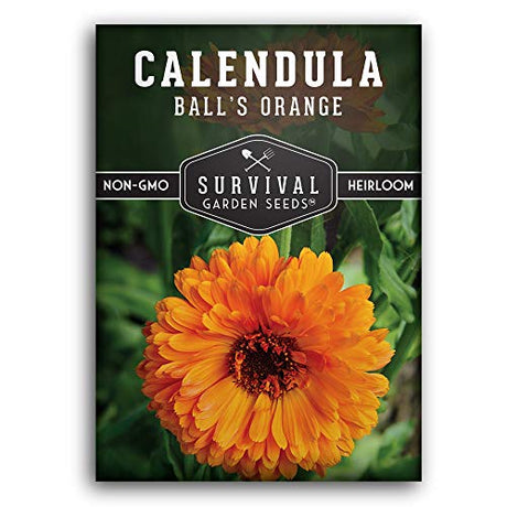 Balls Orange Calendula seeds