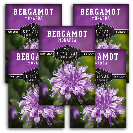 Bergamot (Bee Balm) Seeds - Monarda fistulosa