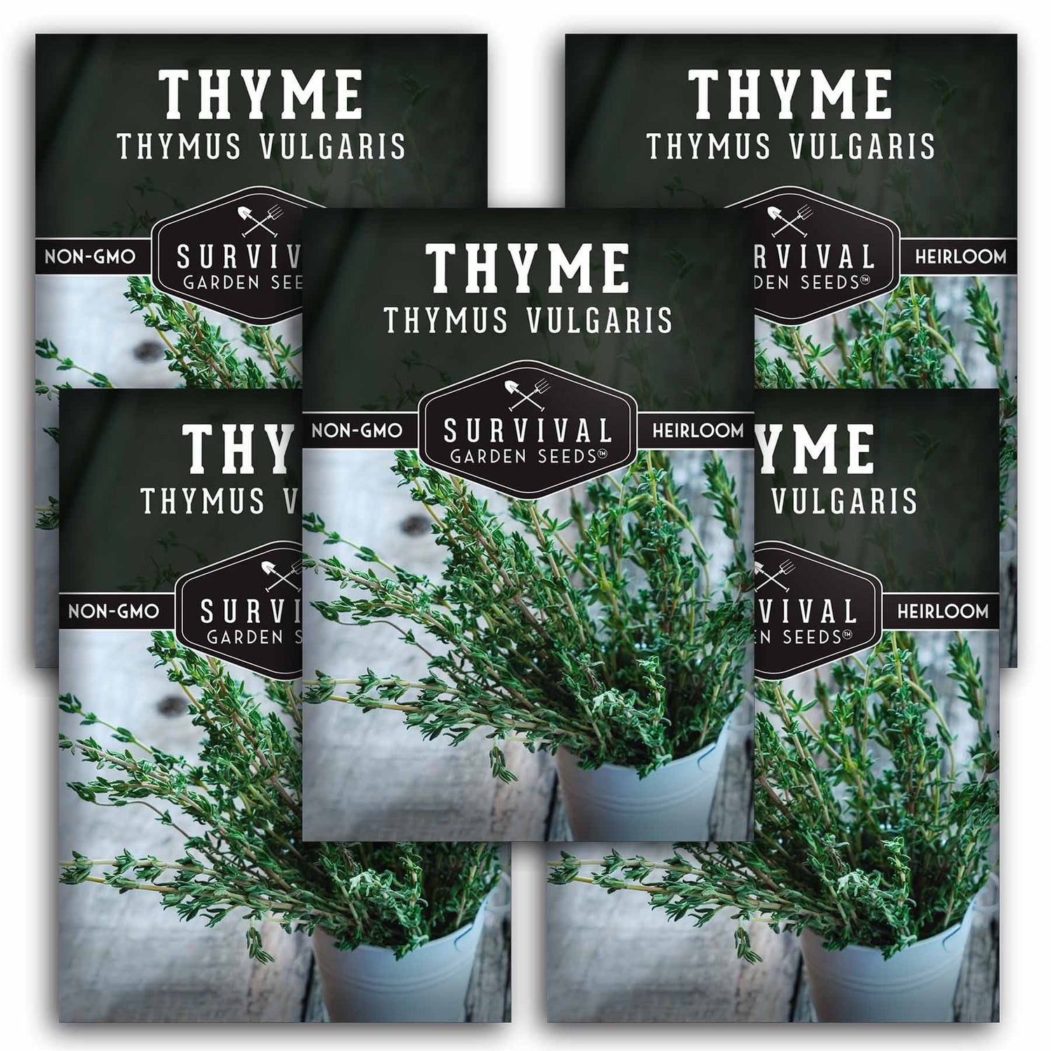 Thyme Seed - Classic Culinary Herb