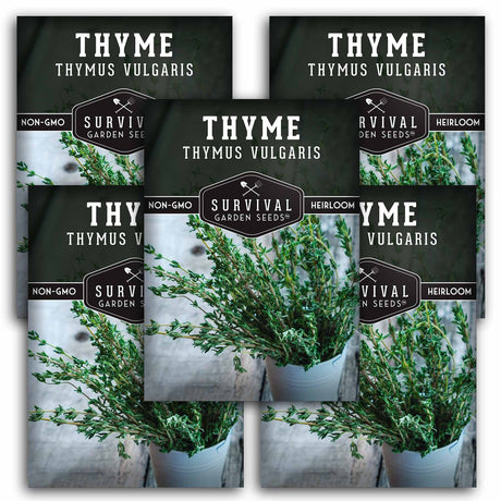Thyme Seed - Classic Culinary Herb