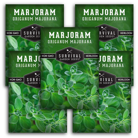 Marjoram Seeds