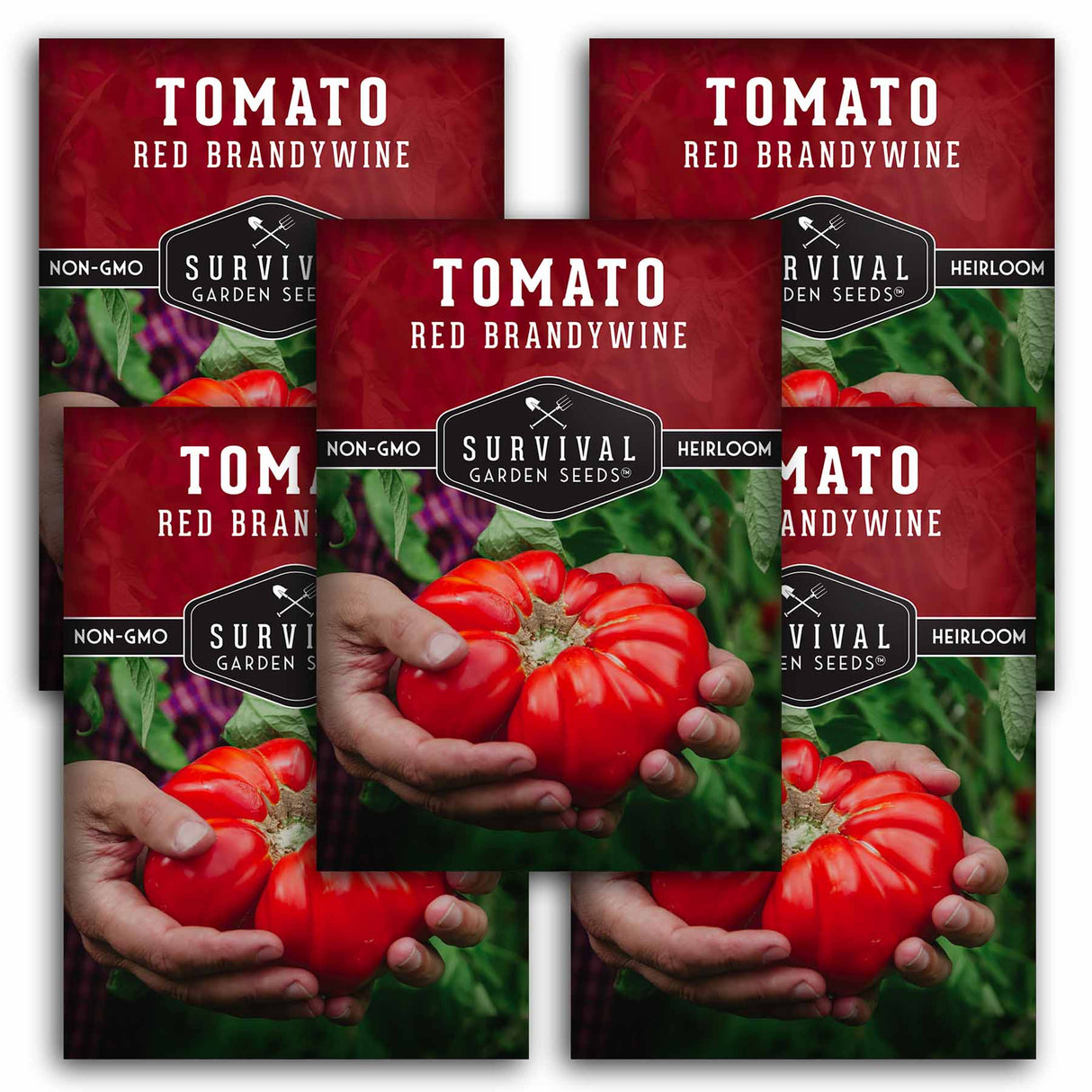 Brandywine Red Tomato Seeds 2025