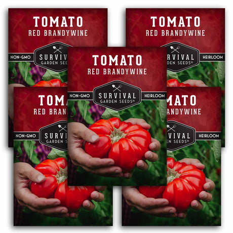Brandywine Red Tomato Seeds